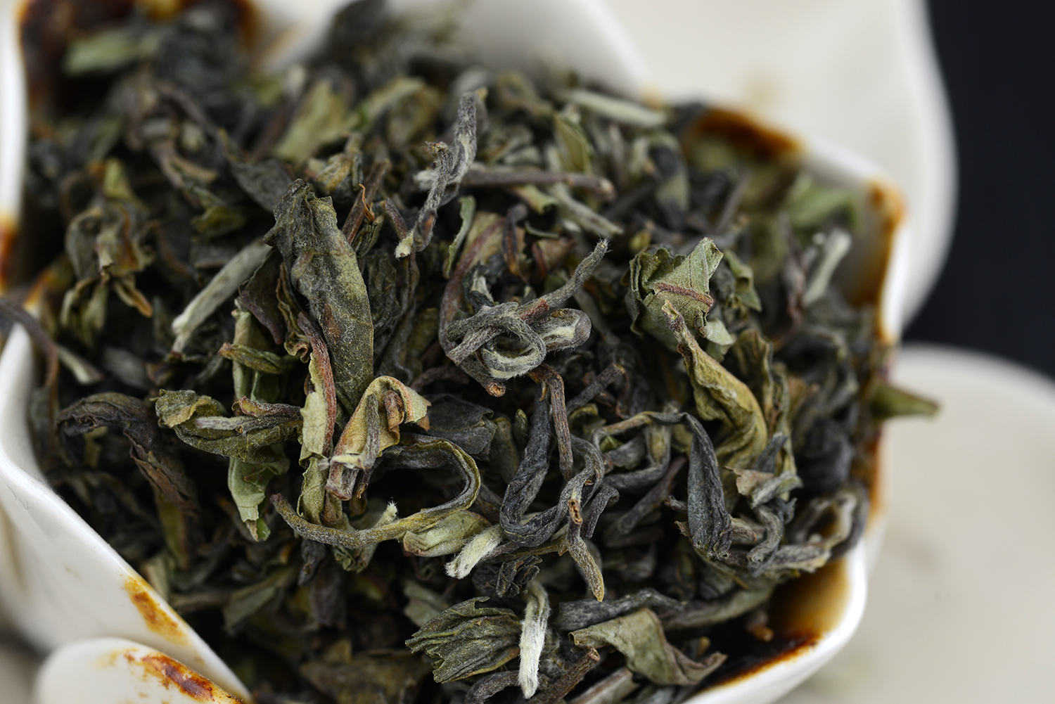 Darjeeling Rohini